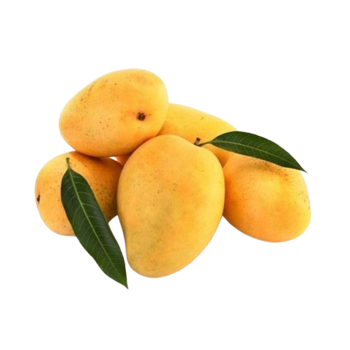 Shital Foods Industries